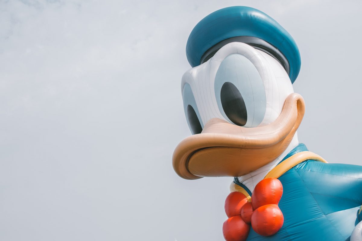 what is duck typing?